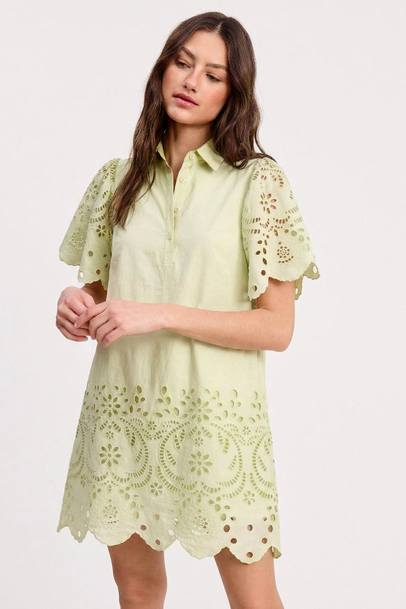Darling Puff Sleeve Dress