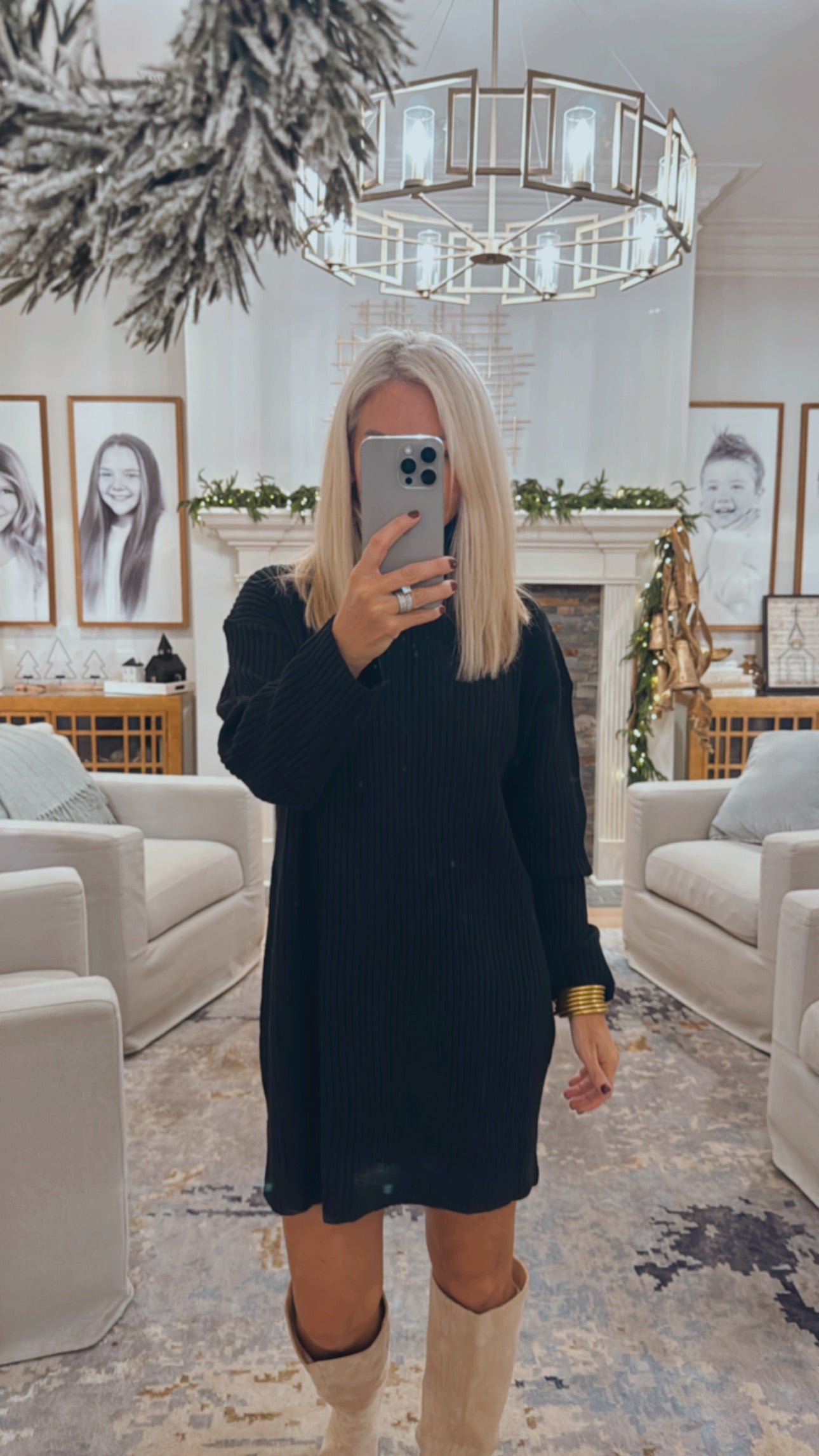 Staple Turtle Neck Sweater Dress