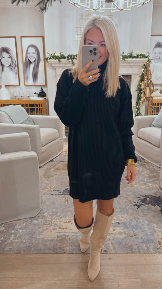 Staple Turtle Neck Sweater Dress