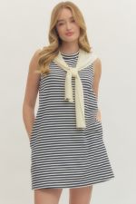 Cardi Stripe Mini Dress