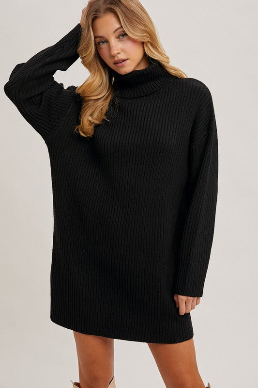 Staple Turtle Neck Sweater Dress